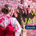 ¿Sueñas con irte a Japón? Esto es lo que necesitas saber si eres ecuatoriano